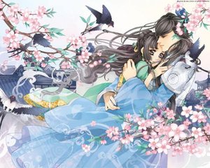 茄子草莓丝瓜香蕉榴莲樱桃幸福宝